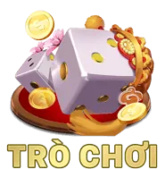 Hỗ trợ Trực tuyến 24/7